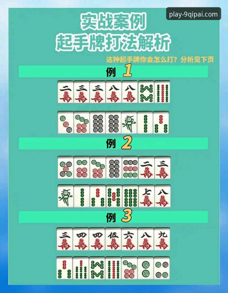 实战派玩家揭秘：棋牌官网安装包必备的三大核心要点，资深用户分享九大使用心得
